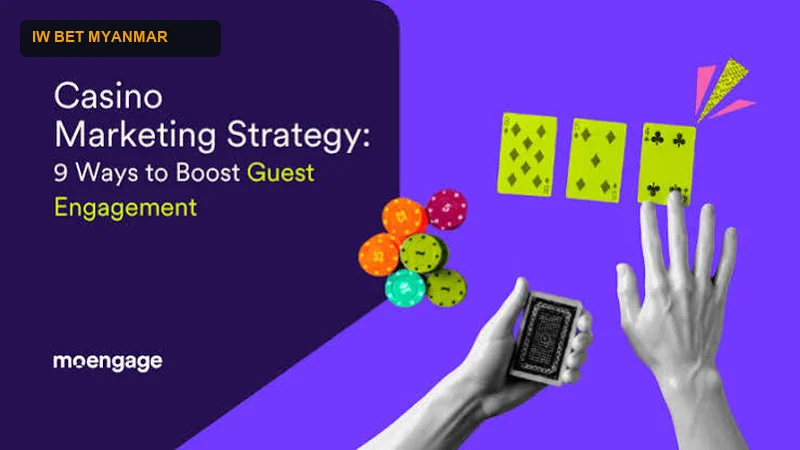 IW Bet Editorial Blog and Strategy Guides Library