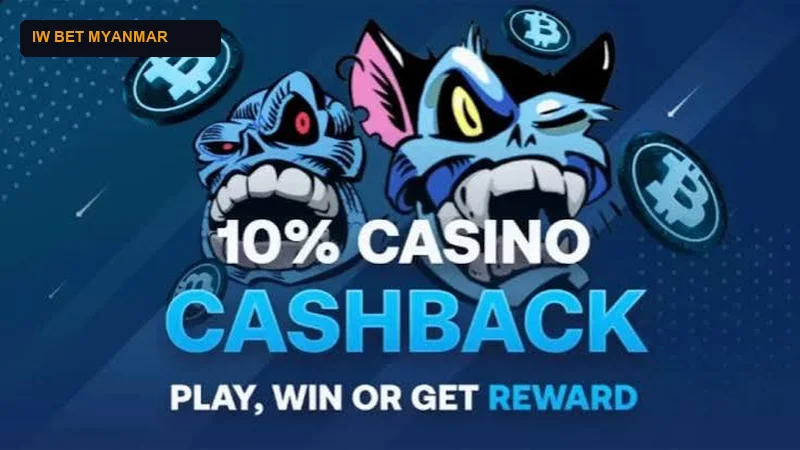 Daily 10 Percent Unlimited Cashback Rebate Guarantee