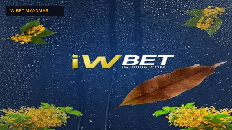 Direct IW Bet APK Package Download Interface