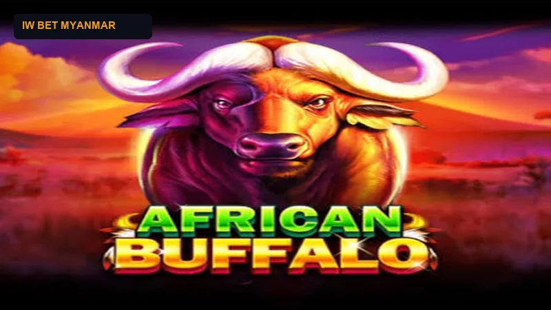 Top Rated Video Slot Games Directory and Multipliers